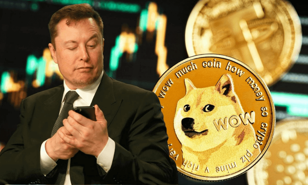 All Aboard! Elon Musk's Vegas Loop Now Taking Dogecoin Payments!